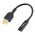 Lenovo DP USB-C / Type-C Power - Charging Cable, Length: 0.2m